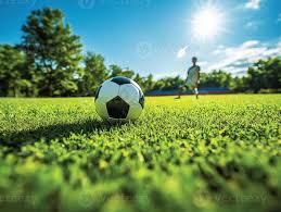 球迷观赛助手应用场景